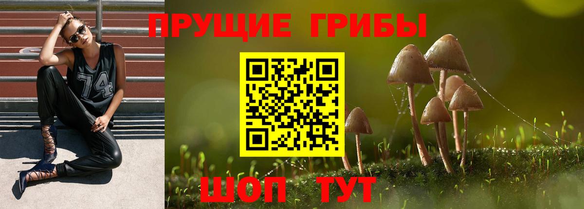 Галлюциногенные грибы Cubensis  Вход с VPN  Кисловодск 